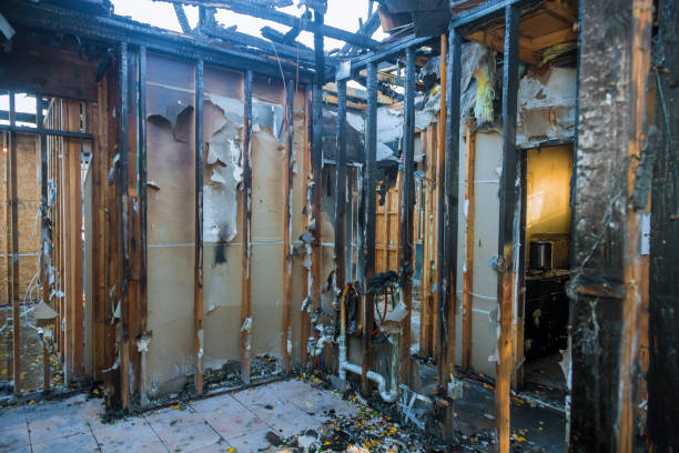 Professional Soot Cleanup technician working in Brownsville, FL
